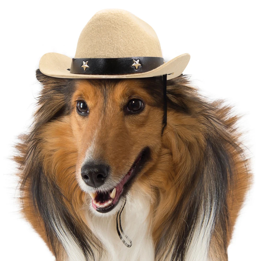 Fashion Dog Cowboy Hat Dogs Cat Outdoor Hats Caps For Small Medium Dogs Cats