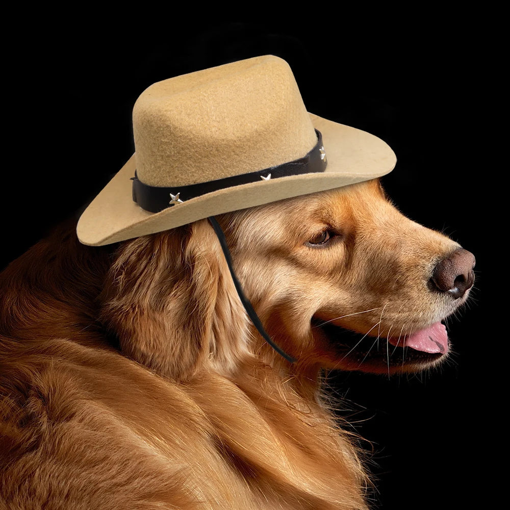 Fashion Dog Cowboy Hat Dogs Cat Outdoor Hats Caps For Small Medium Dogs Cats