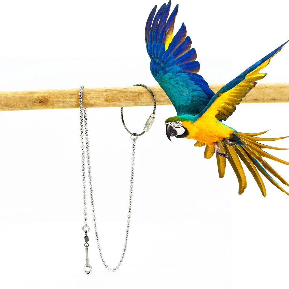 1Pcs Pet Parrot Leg Ring Ankle Foot Chain Bird Ring Outdoor Flying Training Activity