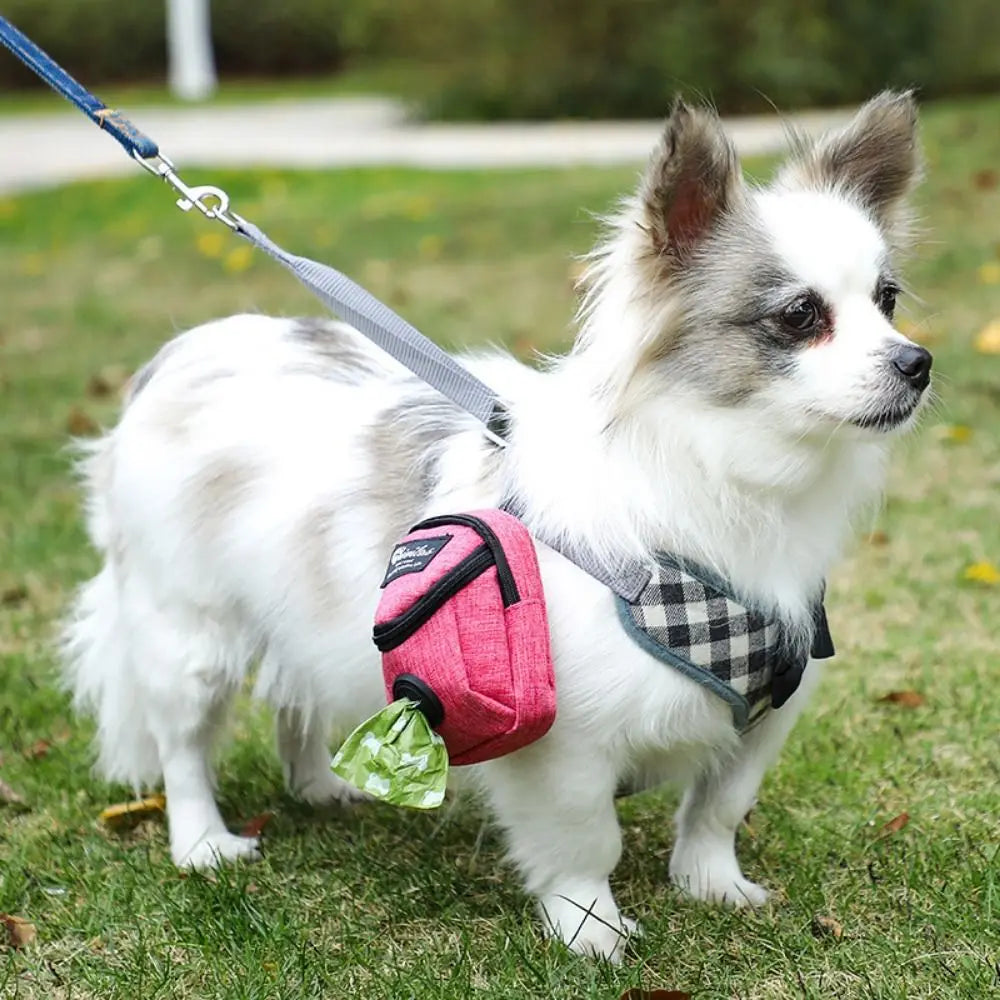 Portable Dog Training Treat Bag Outdoor Pet Dog Treat Pouch Puppy Snack Reward Waist