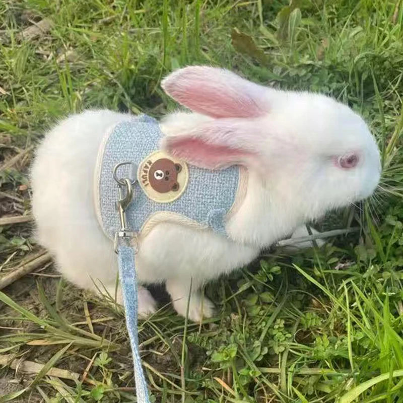 Newest Cute Rabbit Harness and Leash Set Bunny Pet Accessories Vest Harnesses Rabbit