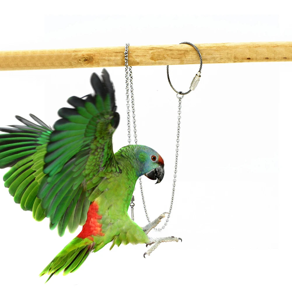 1Pcs Pet Parrot Leg Ring Ankle Foot Chain Bird Ring Outdoor Flying Training Activity