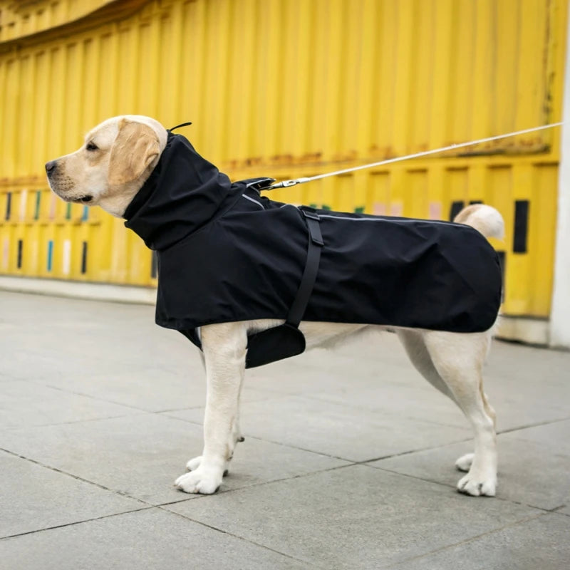 Medium And Large Dog Raincoat Poncho Labrador Golden Retriever Corgi Pet Clothes