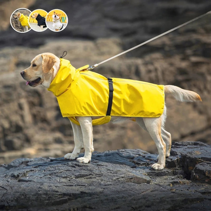 Medium And Large Dog Raincoat Poncho Labrador Golden Retriever Corgi Pet Clothes