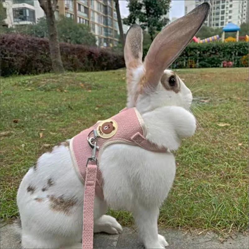 Cute Rabbit Harness and Leash Set Bunny Pet Accessories Vest Harnesses Rabbit Leashes